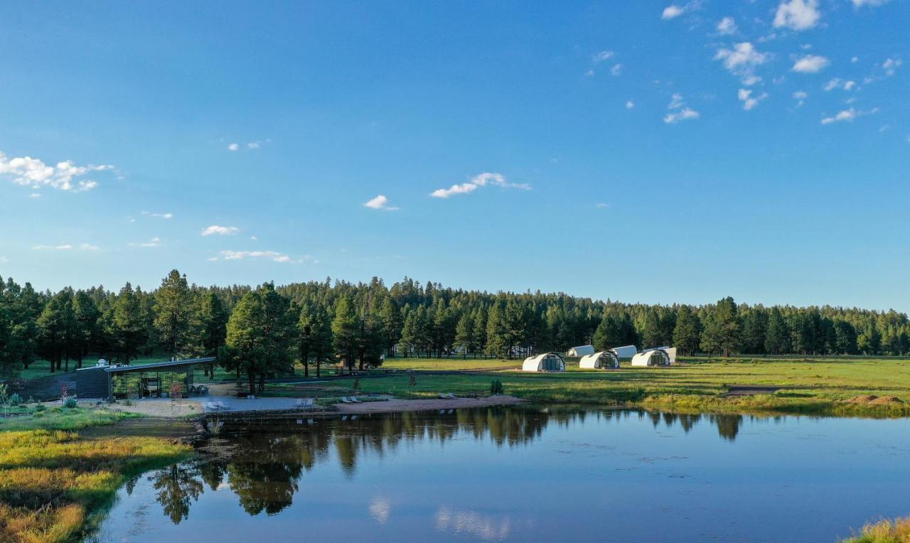 Hotel Backland Williams Zewnętrze zdjęcie
