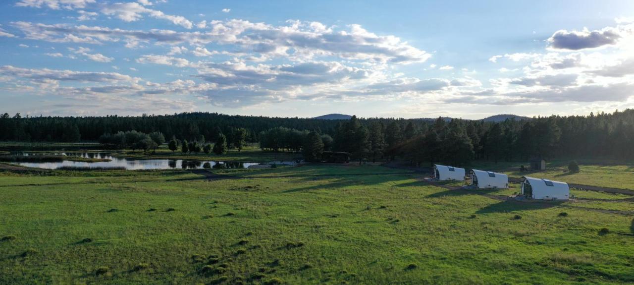 Hotel Backland Williams Zewnętrze zdjęcie